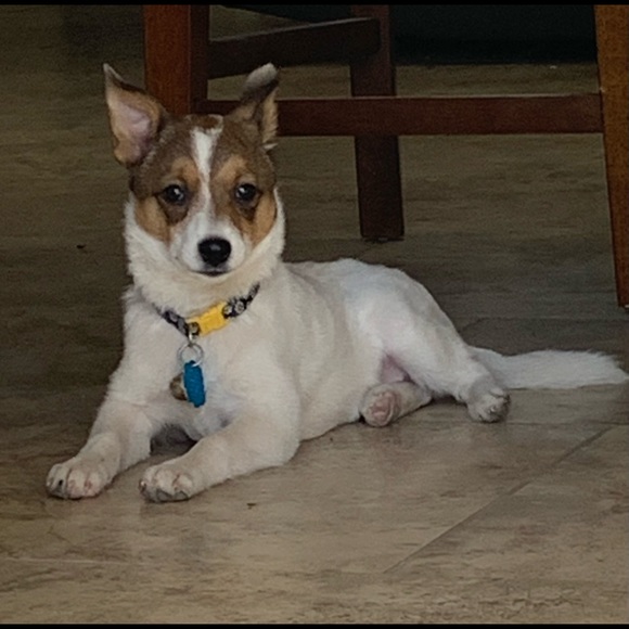 Meet your Posher, Jamie - Picture 3 of 3